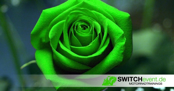 Rose-SWITCHevent-1200x628